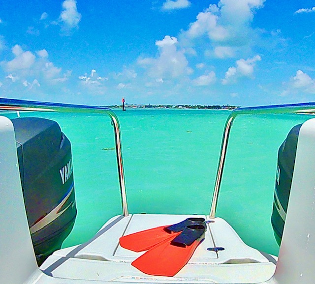 view from the catamaran: clear blue water and snorkeling gear