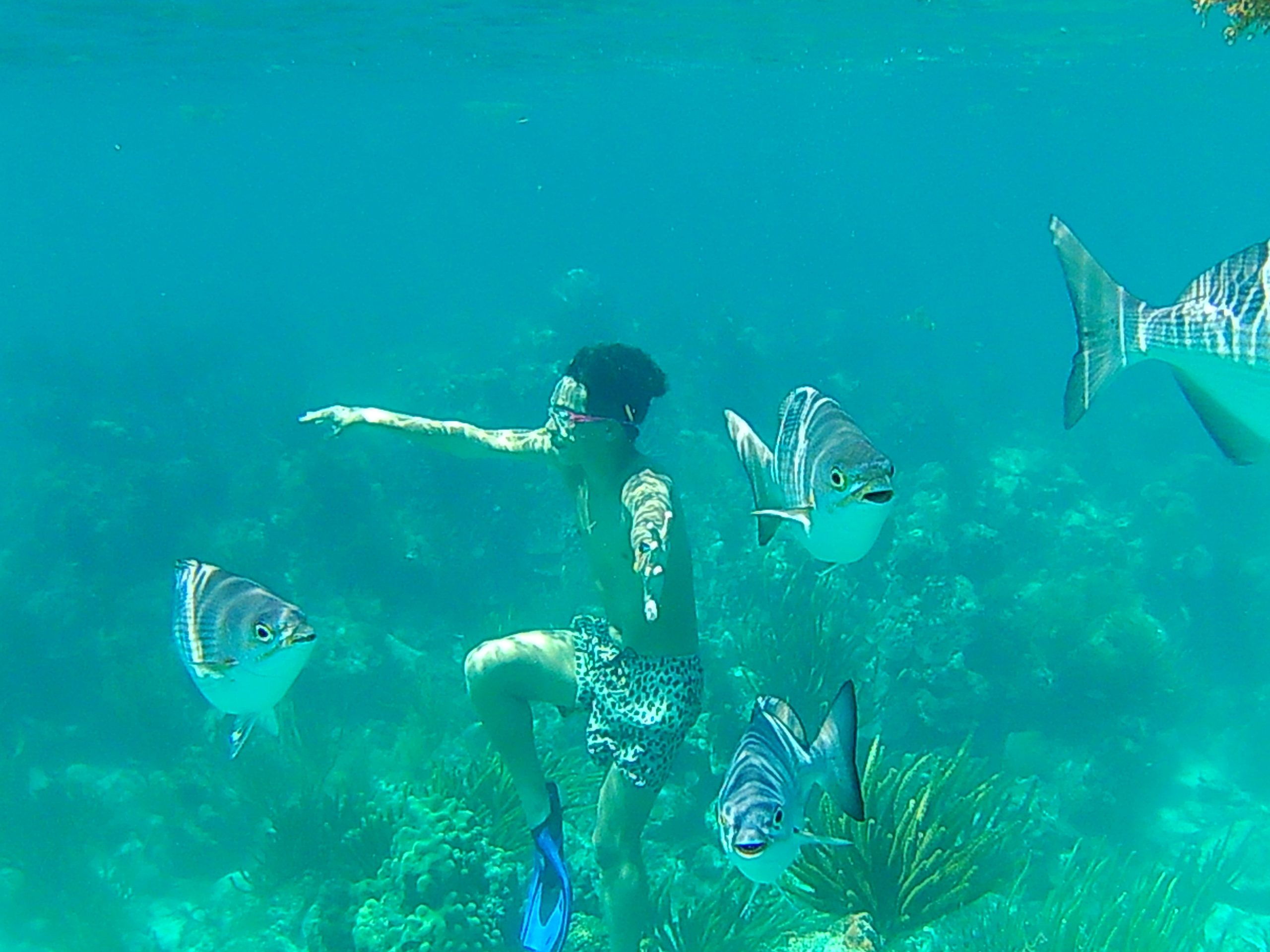 swimmer deep under water surrounded by fish and coral reef