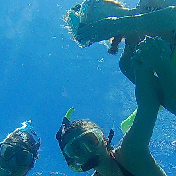 a group of snorkelers swimming
